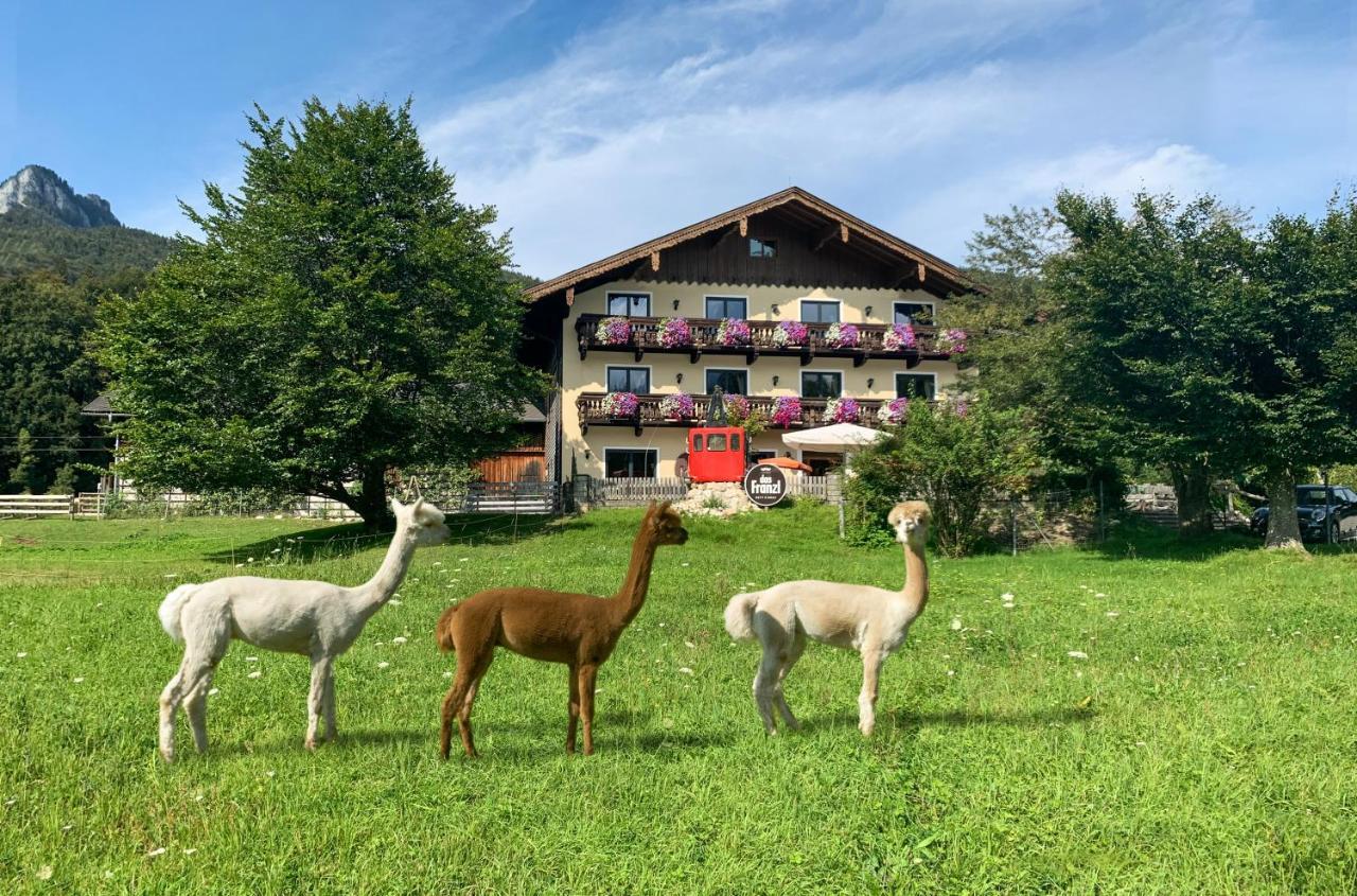 Das Franzl - Bett & Brot Sankt Wolfgang im Salzkammergut Luaran gambar