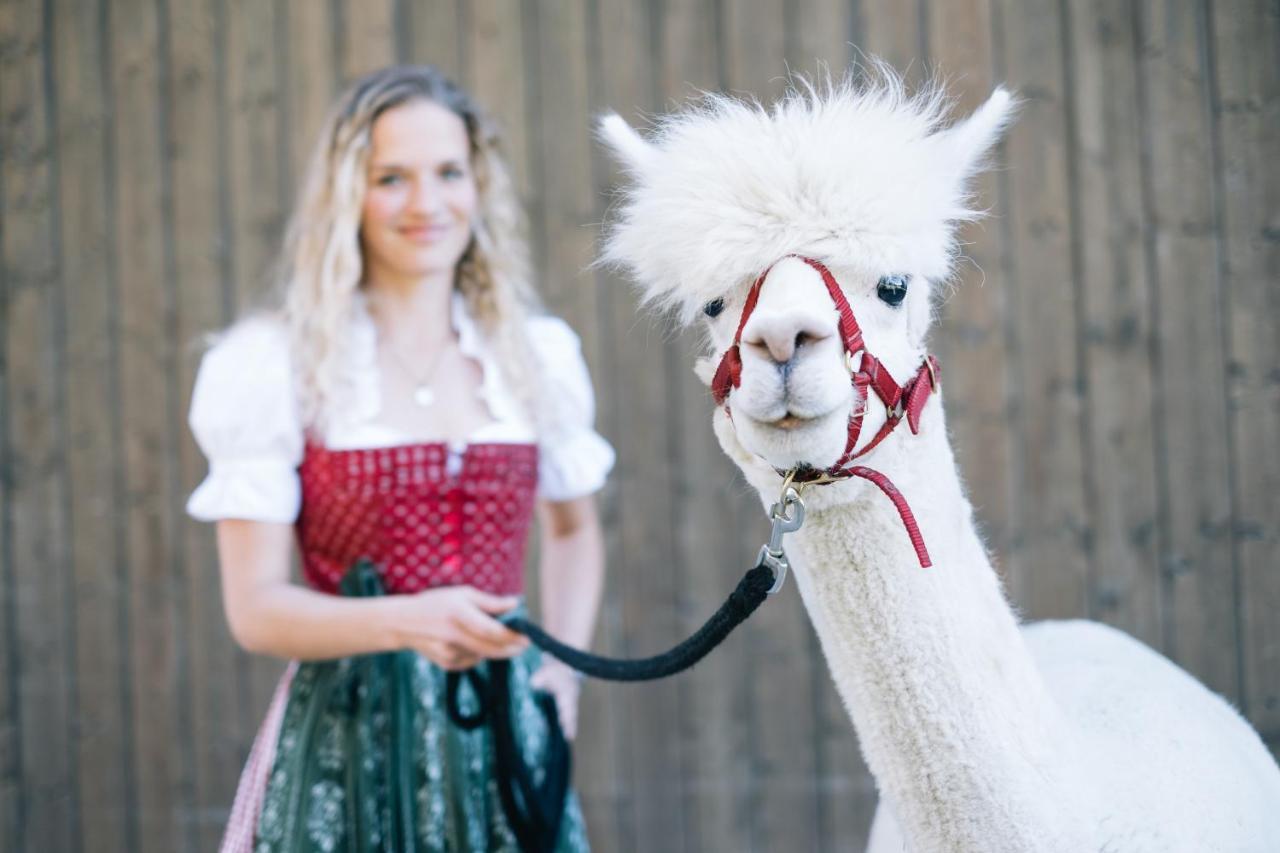 Das Franzl - Bett & Brot Sankt Wolfgang im Salzkammergut Luaran gambar